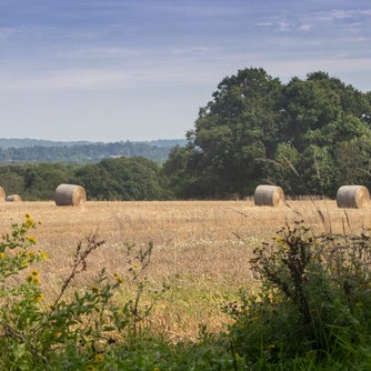 Stroll past farmers' fields